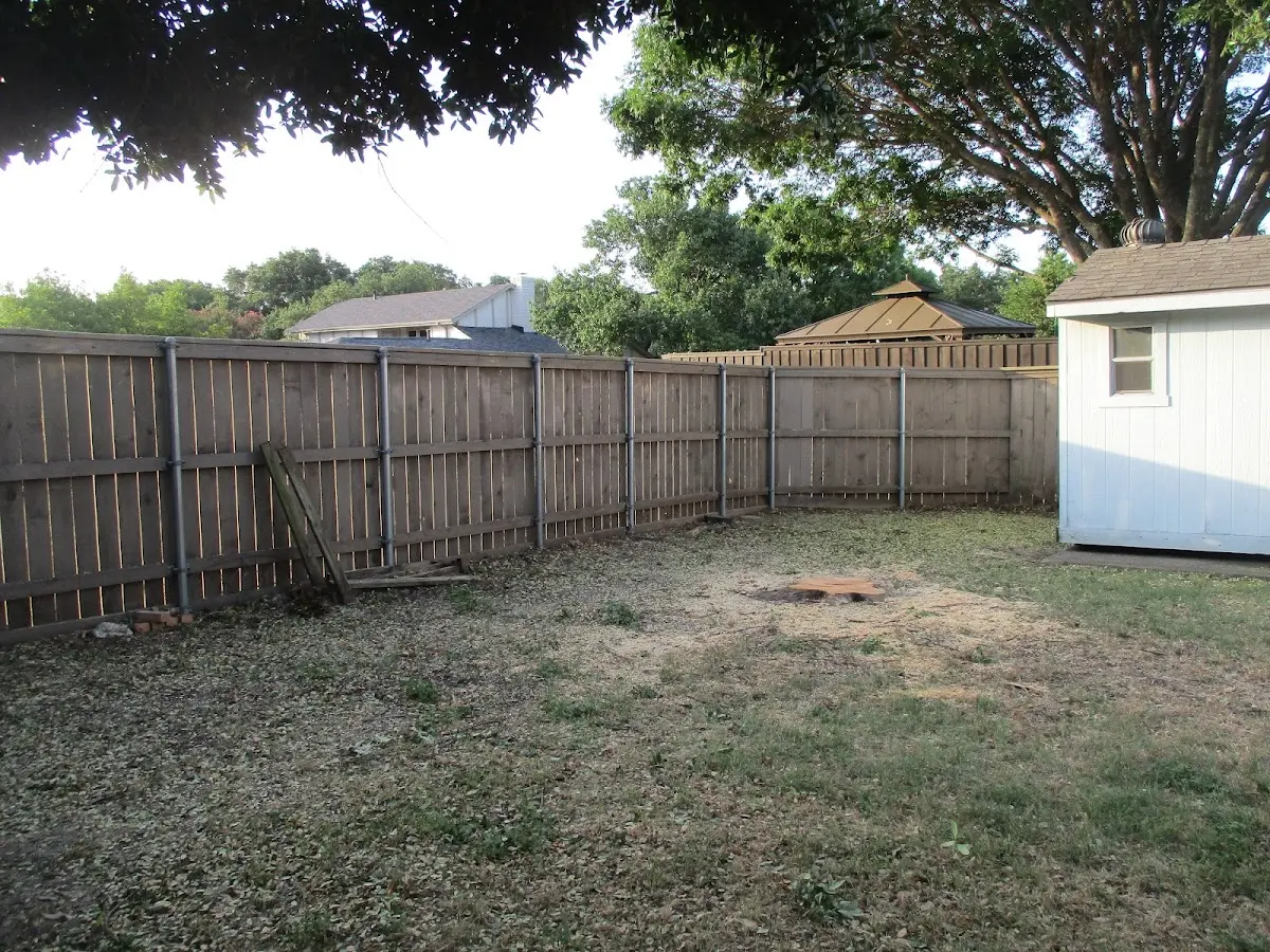 Cleared yard after professional tree removal in Oakesdale
