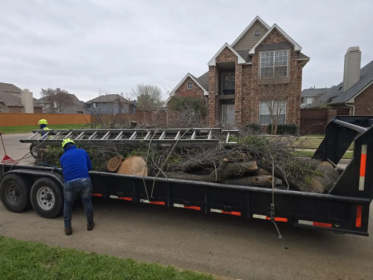 Expert Tree Removal with proper safety equipment in Oakesdale